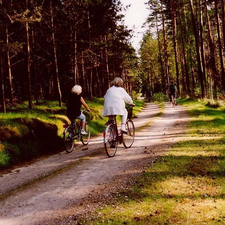 Kleine Auszeit - Natur Und Erholung In Mecklenburg Reimershagen Exterior foto